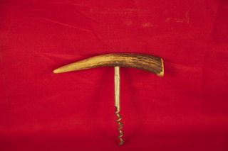 Antique 19th Century Corkscrew With Horngrip photo