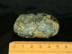 Neolithic Neolithique Peridotite Fibula/bead - 5.  7 Cm/2.  24 