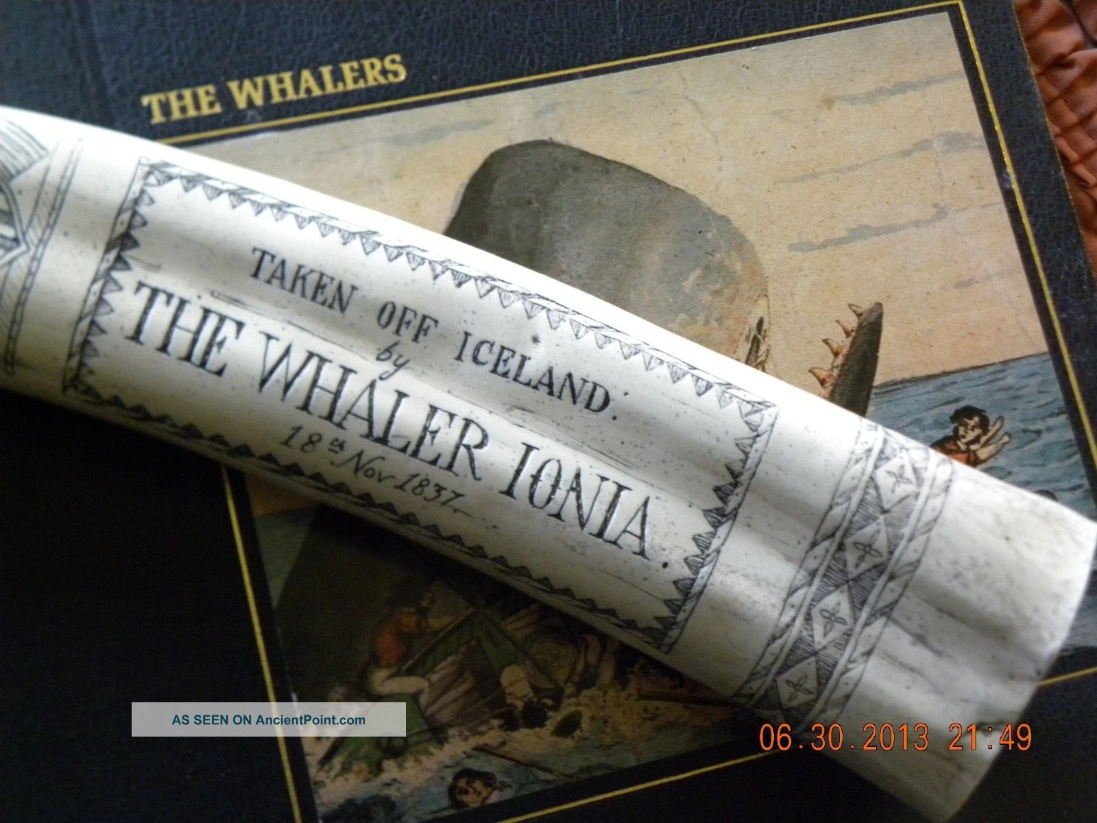 Scrimshaw Replica Walrus Tusk  the whaler "IONIA"  18 inches long around curve 