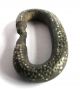 C.  750 A.  D Large British Anglo Saxon Silver Inset Bronze Zoomorphic Bridle Buckle British photo 5
