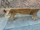 Vintage 3 Wheel Industrial Cart - Iron & Wood Plank Construction Old Steam Punk 1900-1950 photo 4