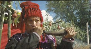 Old Tibet Tibetan Yak Horn Buddhist Temple Trumpet & Wood Stand photo