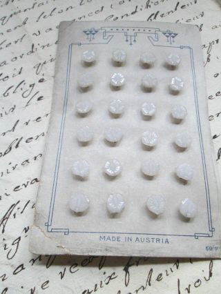 Antique Little Buttons From Milk Glass Little Flowers/ Dolls/austria photo