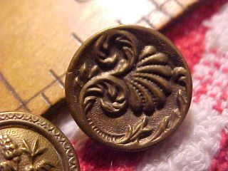 Small Brass Antique French Tight Picture Button Insects/ Bugs On Flowers Paris photo