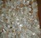 2400+ Antique White Buttons In Large Drey Perfect Mason Jar Buttons photo 3