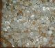 2400+ Antique White Buttons In Large Drey Perfect Mason Jar Buttons photo 5