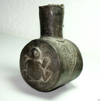 Rare Antique Pre Columbian Pottery Vessel Blackware Frog Bottle Chimu Peru A/f photo