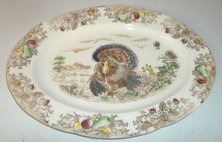 Antique/vintage Porcelain Thanksgiving Turkey Serving Platter/chipped Rim photo
