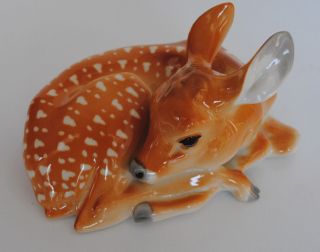 Lomonosov Porcelain Figurine Deer.  Unique photo