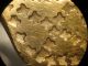 Varagian Gold Ring 950 - 1100 A.  D. Scandinavian photo 2