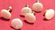 Antique Button Of 6 Mop Shell Mother Of Pearl Buttons photo 2