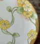 Antique Limoges Hand Painted Plate Artist Signed Art Nouveau Floral Design Plates & Chargers photo 7