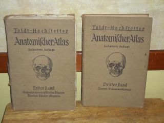2 - German Books 1934 Toldt,  Anatomischer Atlas By Prof.  Dr.  Ferdinand Hochstetter photo