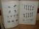 2 - German Books 1934 Toldt,  Anatomischer Atlas By Prof.  Dr.  Ferdinand Hochstetter Other photo 2