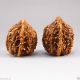 A Pair Chinese Hand - Carved Art Walnuts - Dragons Dragons photo 1