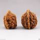 A Pair Chinese Hand - Carved Art Walnuts - Dragons Dragons photo 2