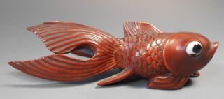 China Chinese Hardwood Carved Figure Of A Koi Goldfish W/ Glass Eyes Ca.  20th C. photo