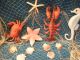 6 ' X 9 ' Fishing Net Crab Lobster Seahorse Starfish Beach Theme Fishing Nets & Floats photo 1