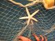 6 ' X 9 ' Fishing Net Crab Lobster Seahorse Starfish Beach Theme Fishing Nets & Floats photo 2