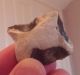A Group Of 3 Upper Palaeolithic / Mesolithic Flint Tools Neolithic & Paleolithic photo 5