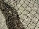7 Feet X 9 Feet Brown Salmon Alaskan Seine Net Fishing Fish Netting (n173) Fishing Nets & Floats photo 1