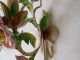 C 1940 French Tole Porcelain Roses Sconces Vintage Old Chandeliers, Fixtures, Sconces photo 4