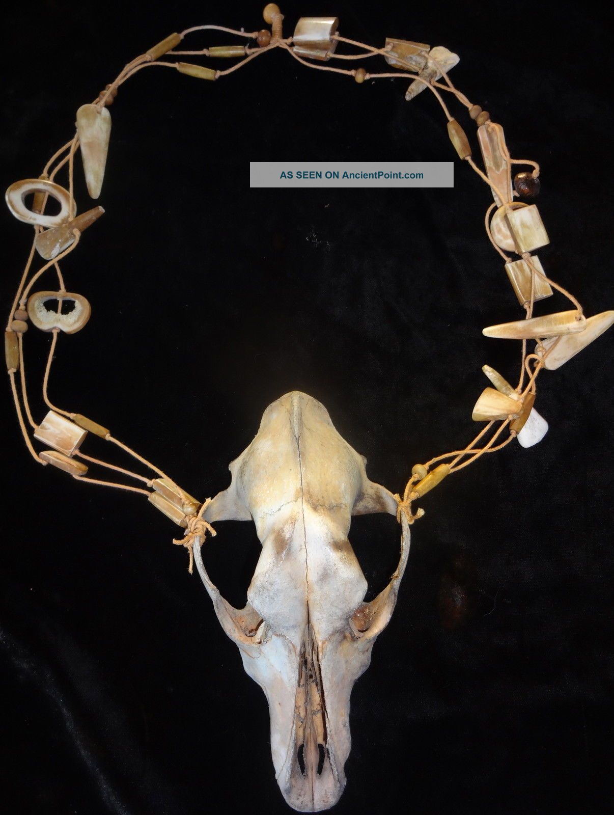 Bone Necklace Papua New Guinea Tribal Ethnographic Pacific Islands & Oceania photo