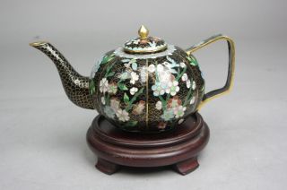 20th C.  Chinese Cloisonné Black Ground Teapot photo