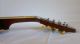 Gibson A4 1922 (loar Period) Mandolin String photo 8