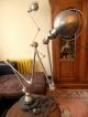 Jielde French Industrial 5 Arms Desk Floor Lamp Design Atelier Loft Mid-Century Modernism photo 1