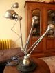Jielde French Industrial 5 Arms Desk Floor Lamp Design Atelier Loft Mid-Century Modernism photo 2