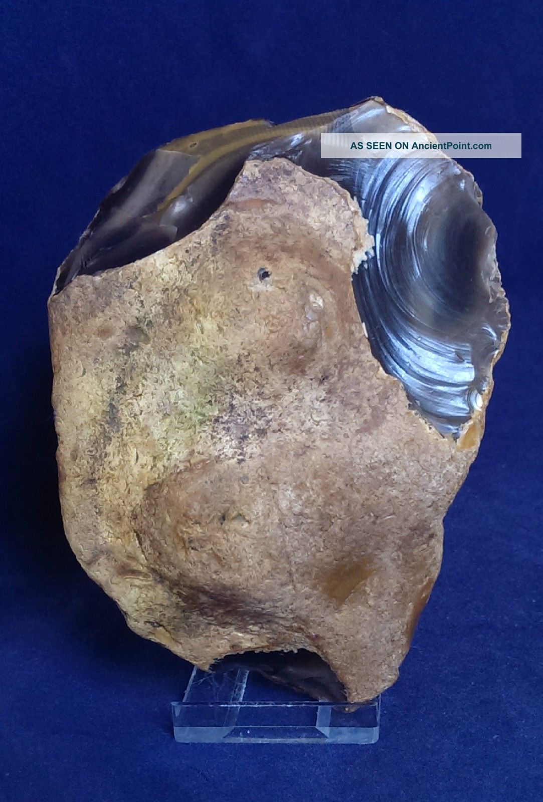 British Upper Palaeolithic Worked Pebble Chopper Tool From Dorset England Neolithic & Paleolithic photo