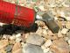 Old Metal 1954 Hudson Sprayer Duster Plant Mister Primitives photo 3