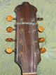 Distinctive Antique Mandolin,  Guitar Shaped Body C 1905 See Video String photo 1