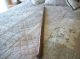 University Of Michigan 1877 Medical Class Hand Carved Walking Stick Other photo 2