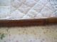 University Of Michigan 1877 Medical Class Hand Carved Walking Stick Other photo 7