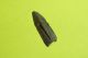 Ancient Roman Arrowhead Archery Arrow Bow Military Tool Artifact Antique Rare Roman photo 1