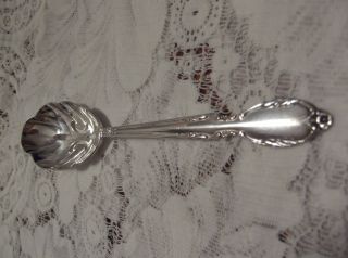 Rogers & Bro.  Extra Plate Shell Slotted Berry Spoon Rogers photo