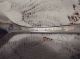 Rogers & Bro.  Extra Plate Shell Slotted Berry Spoon Rogers Flatware & Silverware photo 3