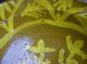 Antique 19th C Pennsylvania Redware Bowl Yellow Slip Decorated Primitives photo 5