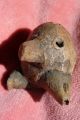 Pre - Columbian.  Ceremonial Whistle.  In The Form Of An Anteater.  Artefact.  About 500bc Latin American photo 5