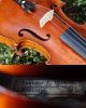 Wonderful Antique Czech Violin By Ladislav F.  Prokop,  Chrudim,  1914 String photo 9