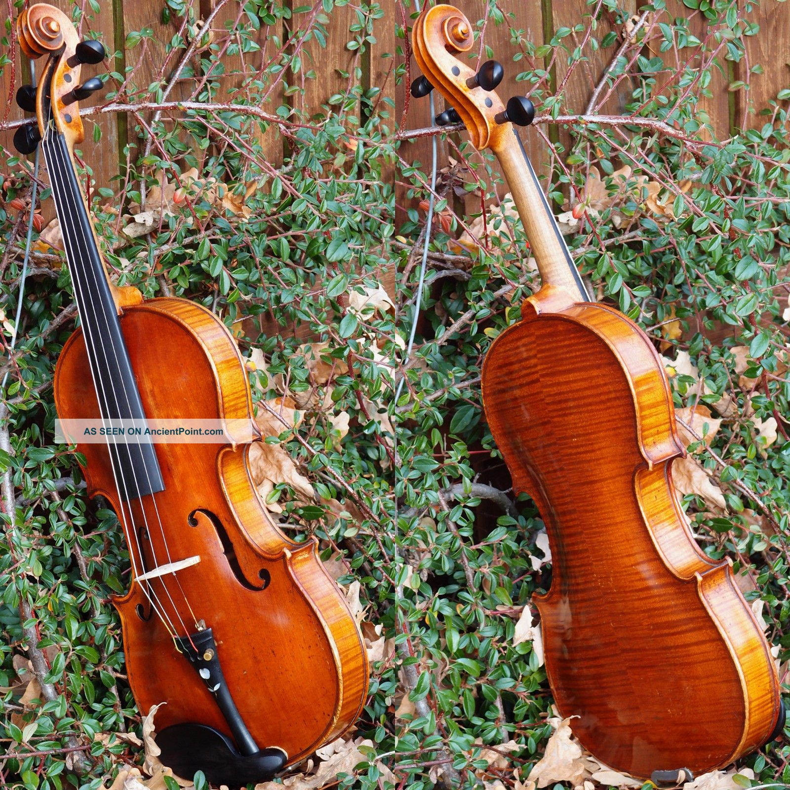 Wonderful Antique Czech Violin By Ladislav F.  Prokop,  Chrudim,  1914 String photo