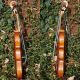 Wonderful Antique Czech Violin By Ladislav F.  Prokop,  Chrudim,  1914 String photo 3