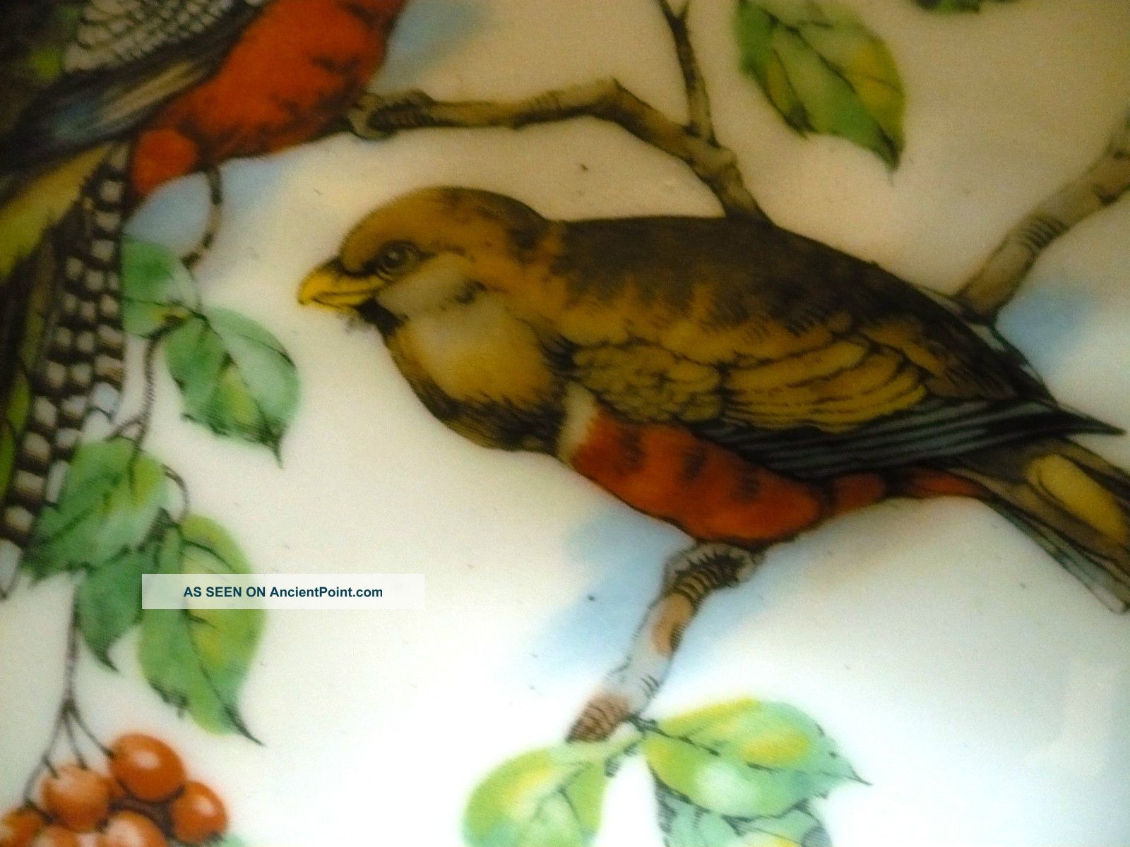 Antique Ceramic Bullfinch Lunch Plate Austria Hand Painted Birds Ornithology Plates & Chargers photo
