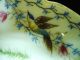 Antique Ceramic Bullfinch Lunch Plate Austria Hand Painted Birds Ornithology Plates & Chargers photo 3