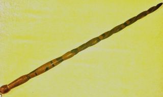 Antique Aboriginal Digging Stick Circa 1900 - 1910 photo