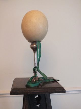 Antique Edwardian African Ostrich Egg With Empire Green Ribbon Xmas Decoration photo