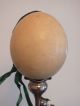 Antique Edwardian African Ostrich Egg With Empire Green Ribbon Xmas Decoration Other photo 2
