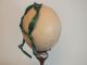 Antique Edwardian African Ostrich Egg With Empire Green Ribbon Xmas Decoration Other photo 4